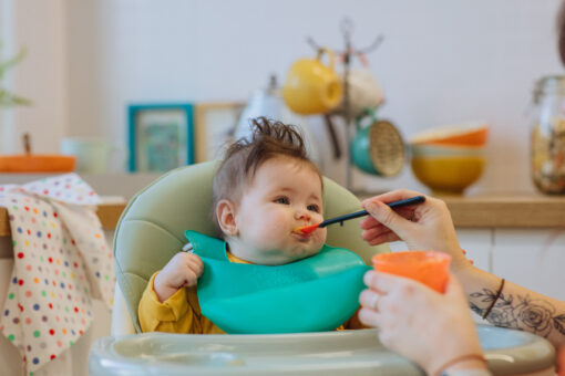 Roll n Go Bib - Image 5